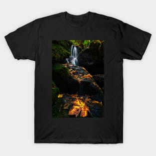 Autumn Waterfall T-Shirt